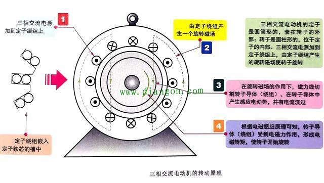 电机磁极对数怎么看？三相异步电机磁极对数计算_电机极对数和槽数的关系