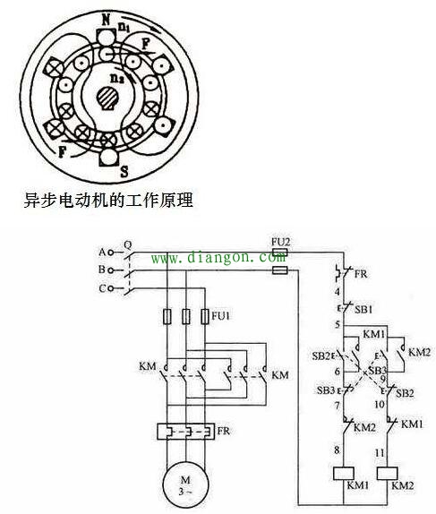 为什么电动机总是顺时针转的？