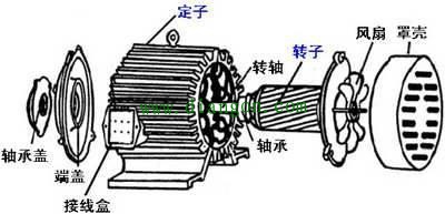 为什么电动机总是顺时针转的？