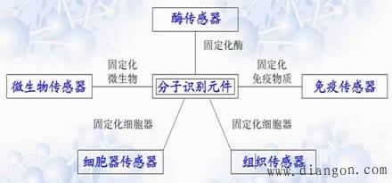 生物传感器分类与特点